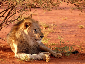 Design sans titre Design sans titre